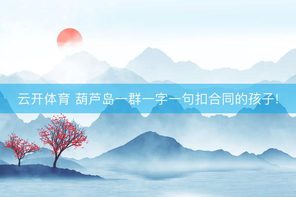 云开体育 葫芦岛一群一字一句扣合同的孩子!
