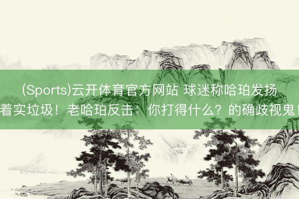 (Sports)云开体育官方网站 球迷称哈珀发扬着实垃圾!老哈珀反击:你打得什么?的确歧视鬼!