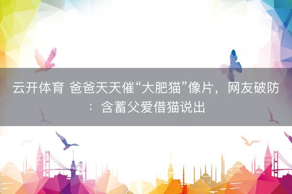 云开体育 爸爸天天催“大肥猫”像片,网友破防:含蓄父爱借猫说出