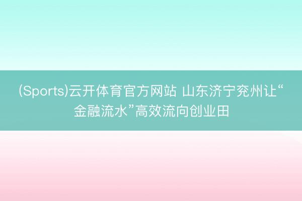 (Sports)云开体育官方网站 山东济宁兖州让“金融流水”高效流向创业田