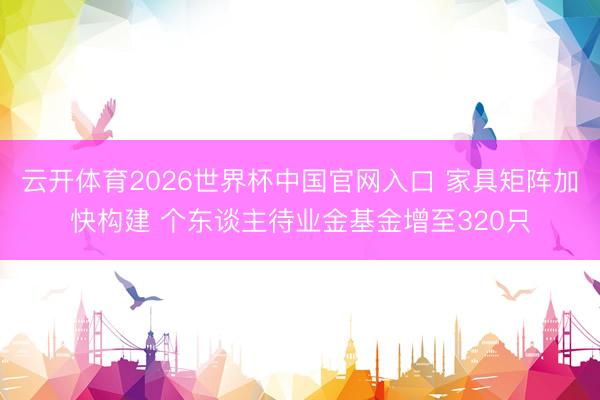 云开体育2026世界杯中国官网入口 家具矩阵加快构建 个东谈主待业金基金增至320只