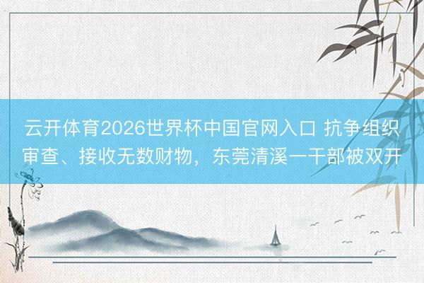 云开体育2026世界杯中国官网入口 抗争组织审查、接收无数财物,东莞清溪一干部被双开